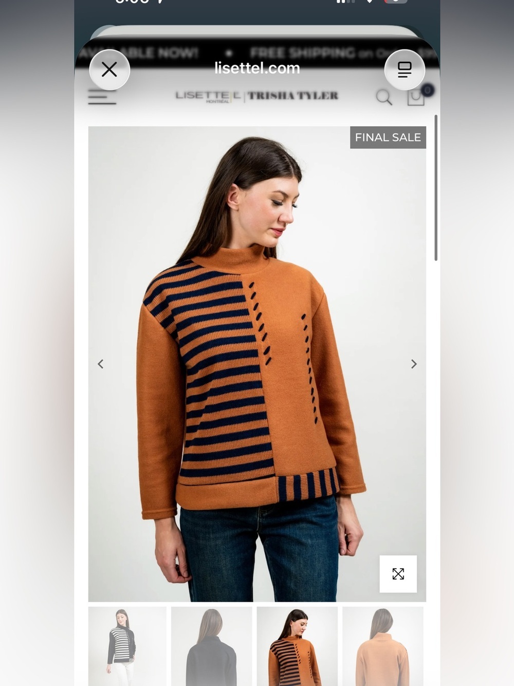 Cowlneck Striped Rust and Black Sweater $71 on website